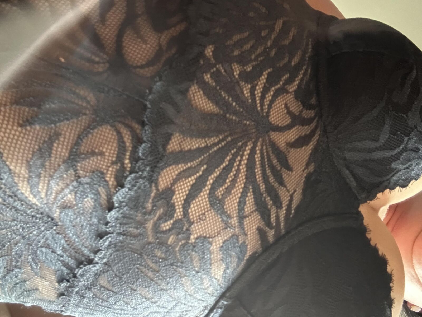 Sexy ass tail 