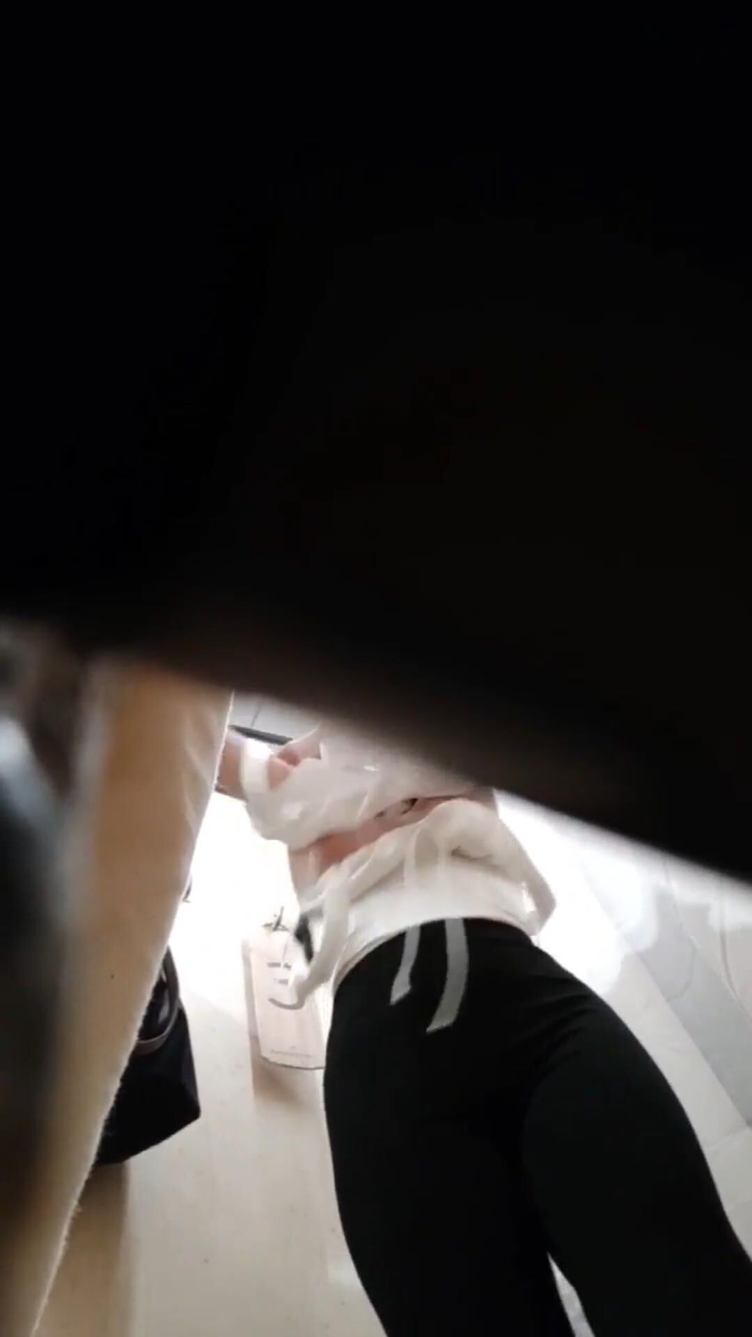 Tit spying