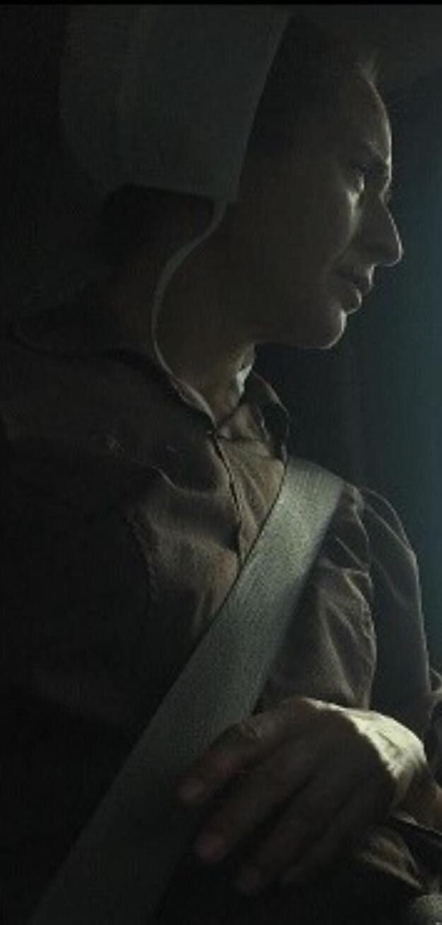 Meine bevorzugten offenen Fotos von Amish -Frauen