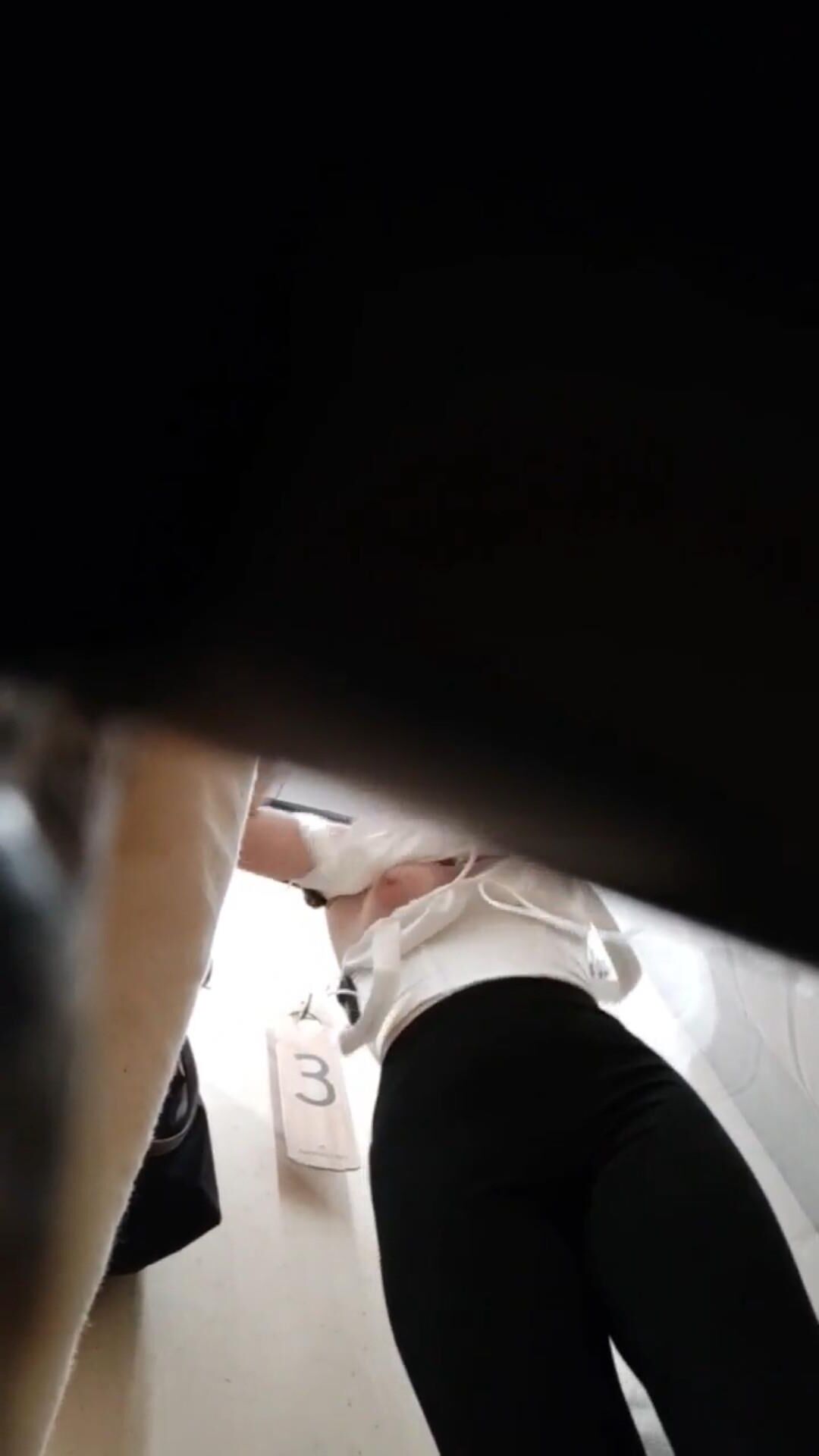 Tit spying