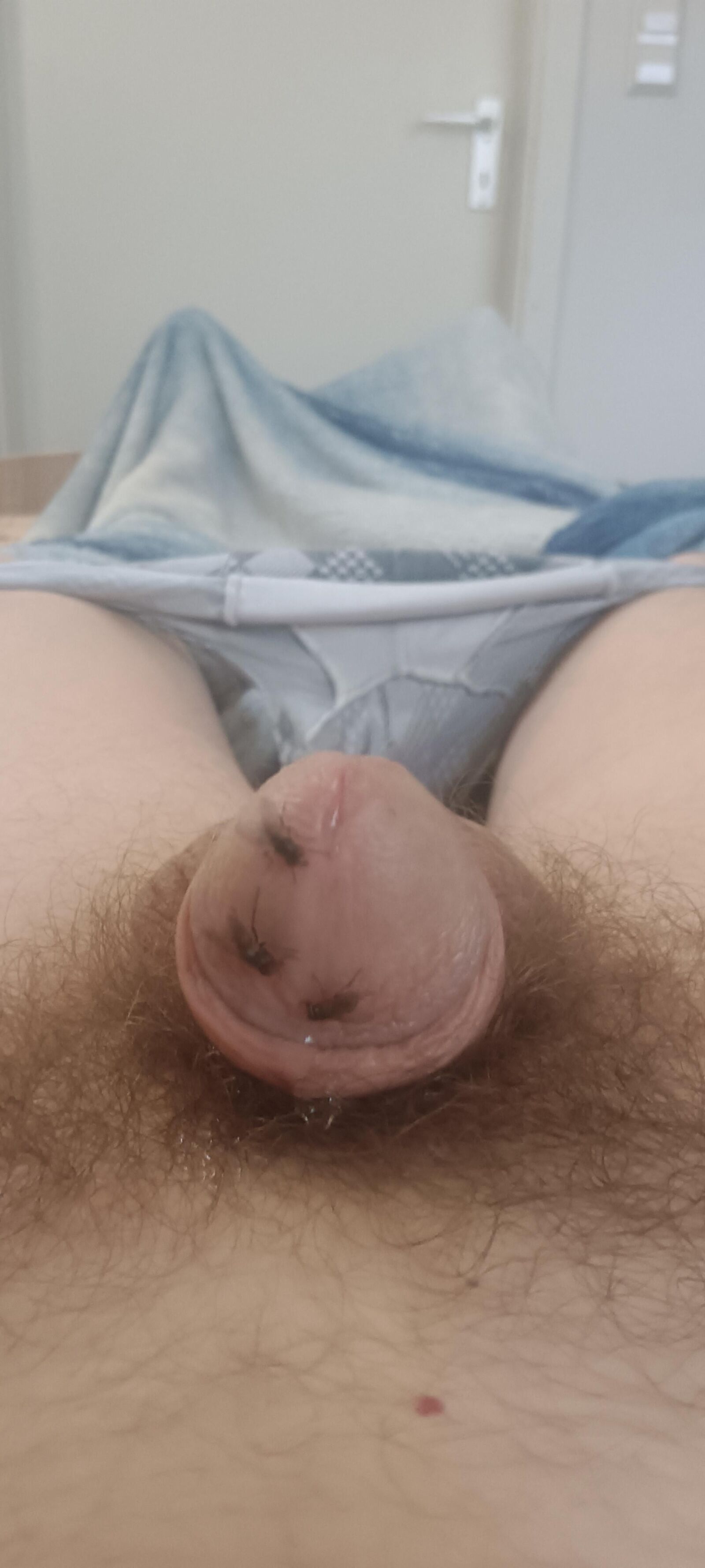 Voar e meu pau