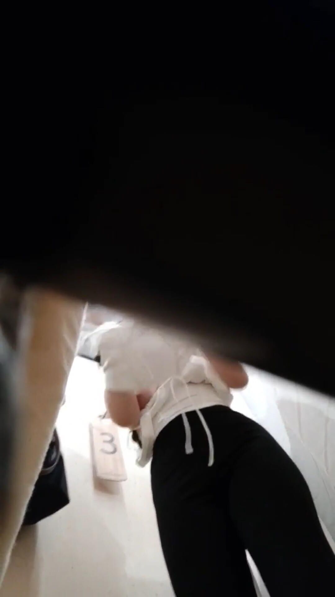 Tit spying