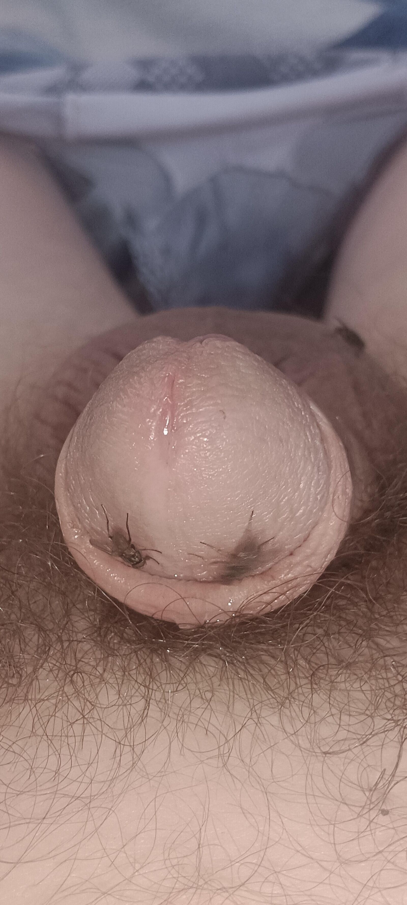 Voar e meu pau