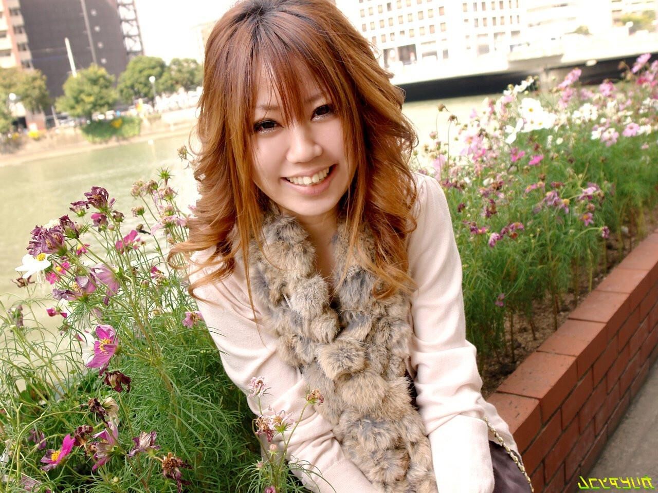Japon, paradis sexuel