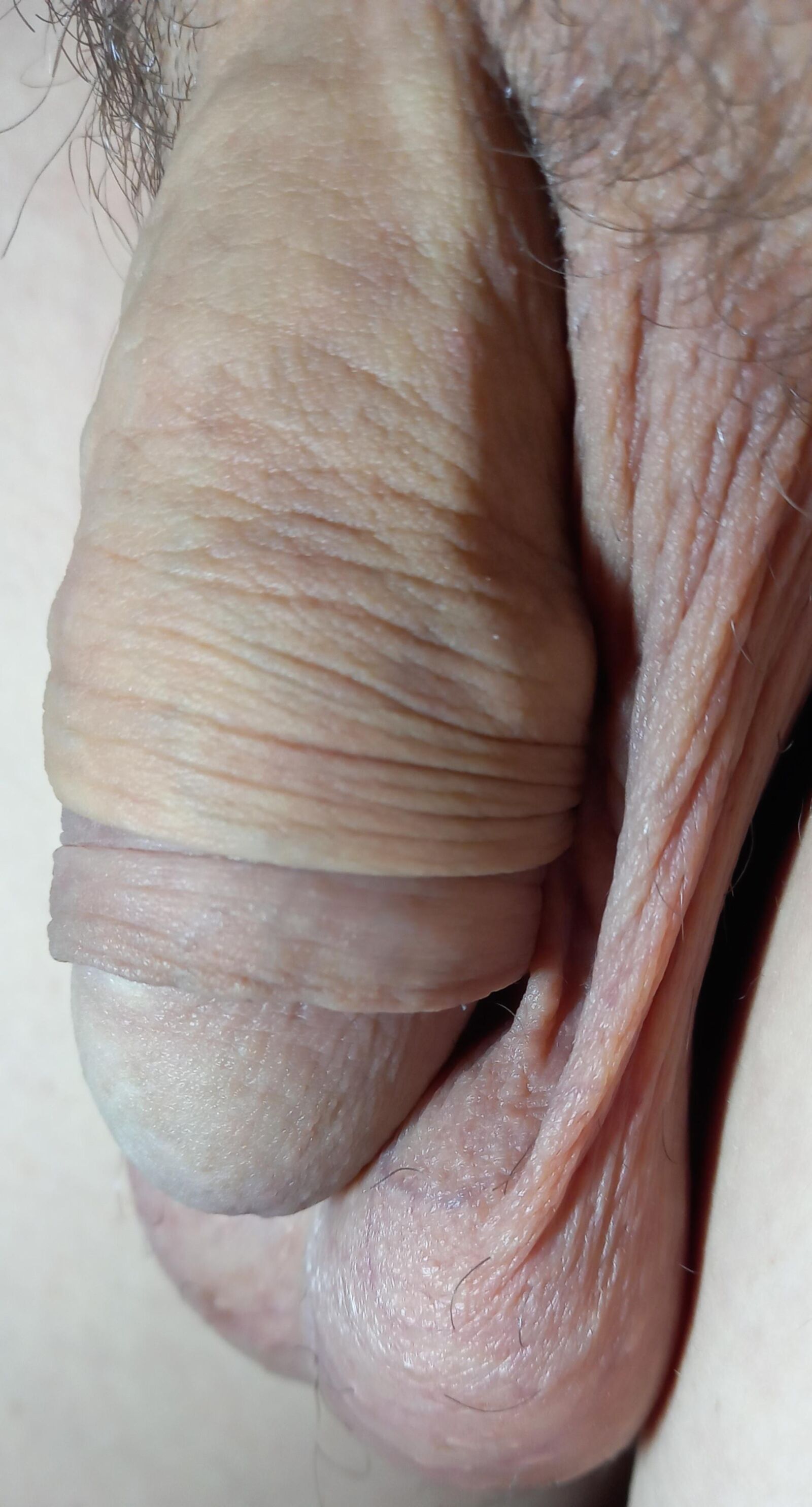 Großer Penis