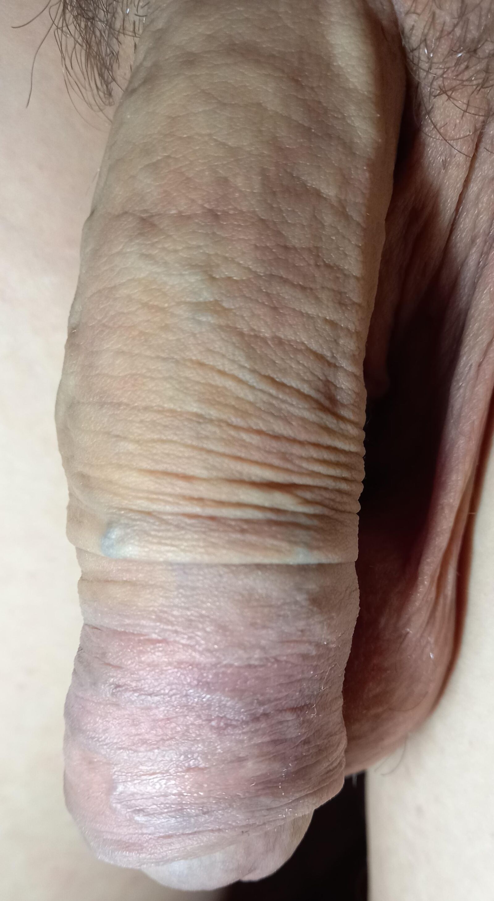 Großer Penis