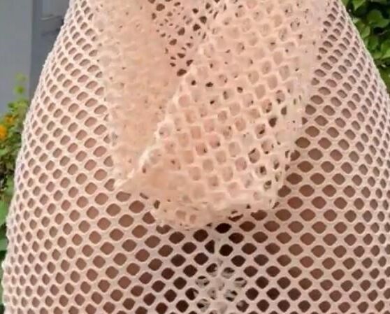 See through Bottoms XXVI
