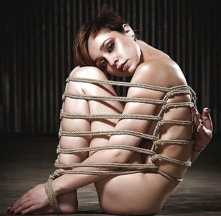 All Tied Up
