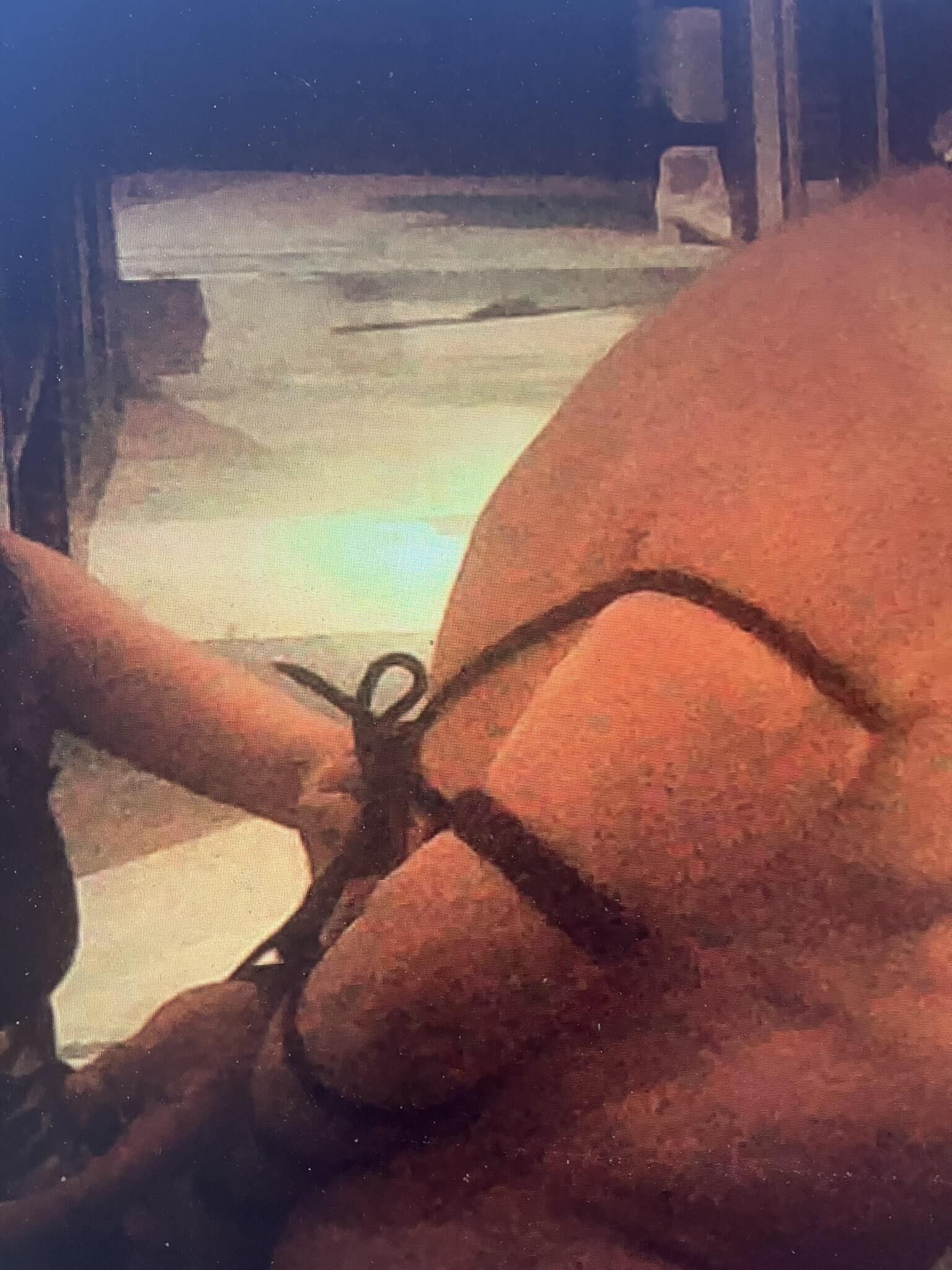Dois dominatícios com desempenho