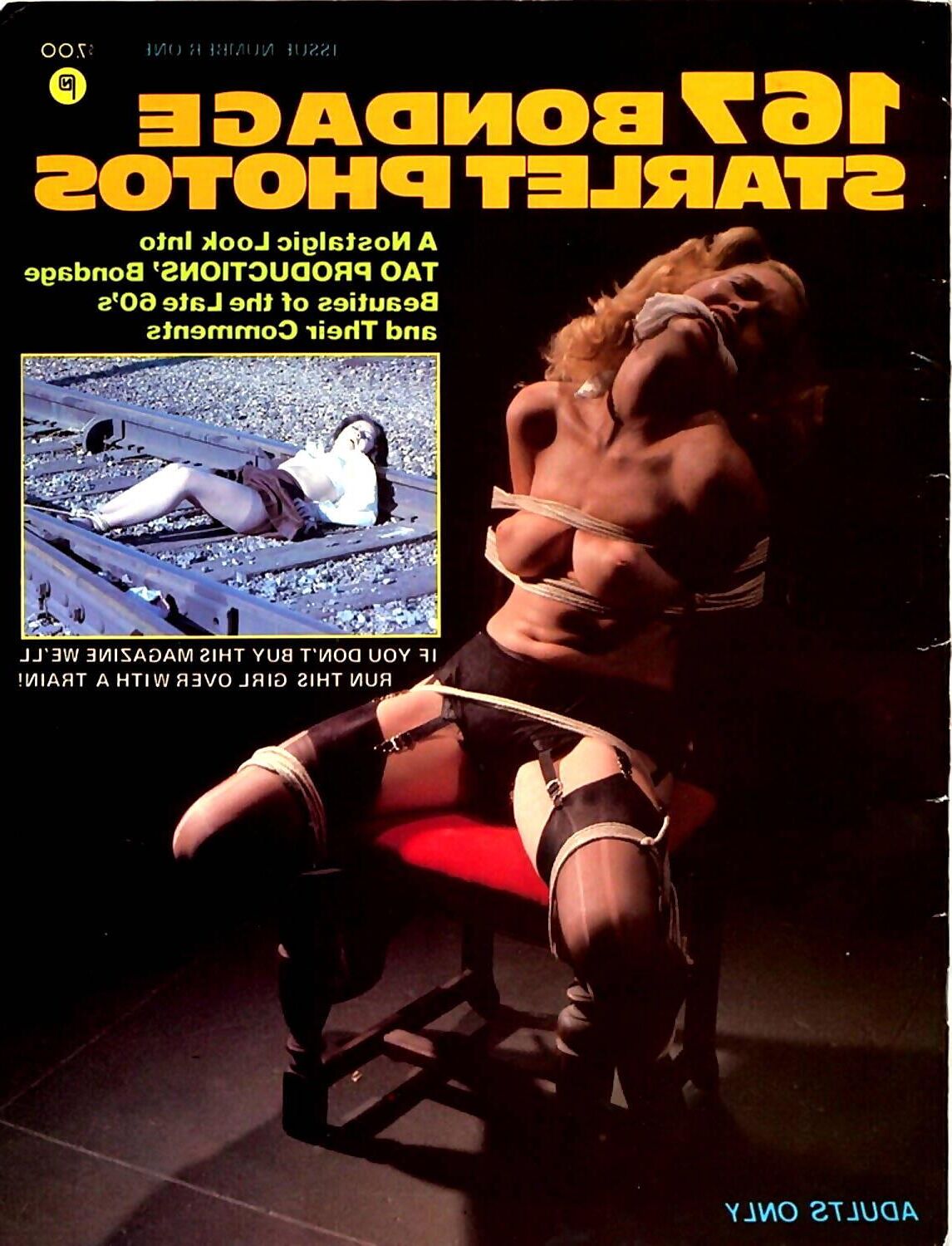 Sortiertes Bondage Magazine Covers