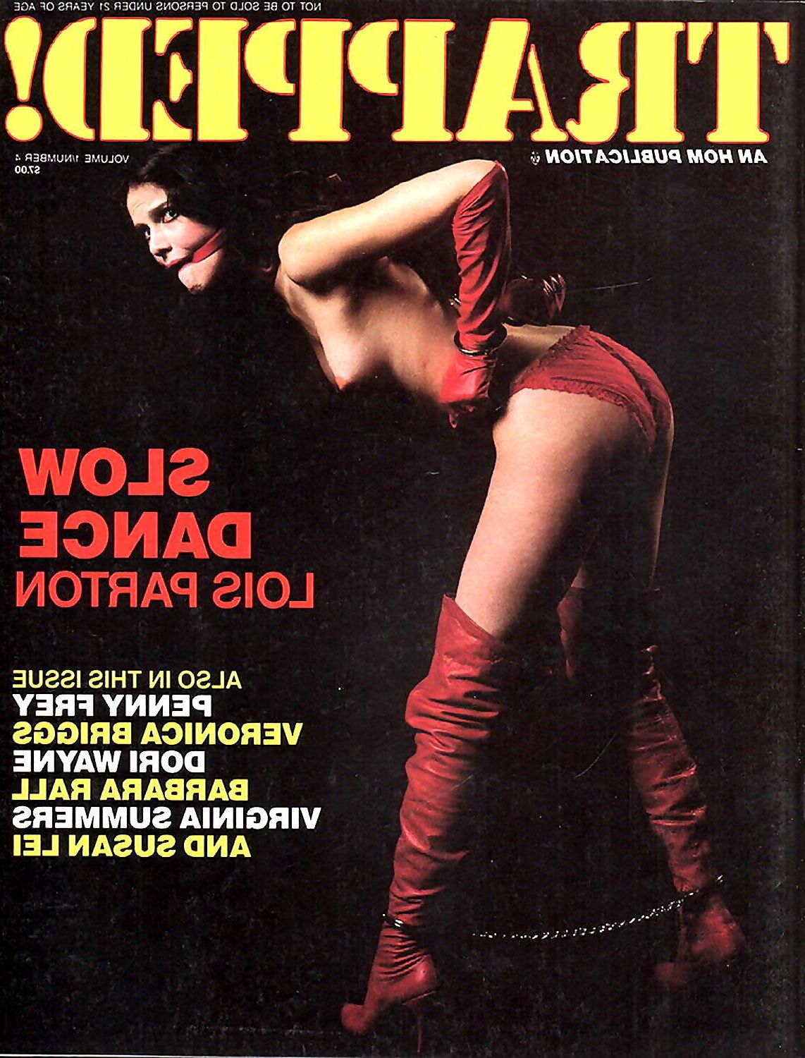 Sortiertes Bondage Magazine Covers