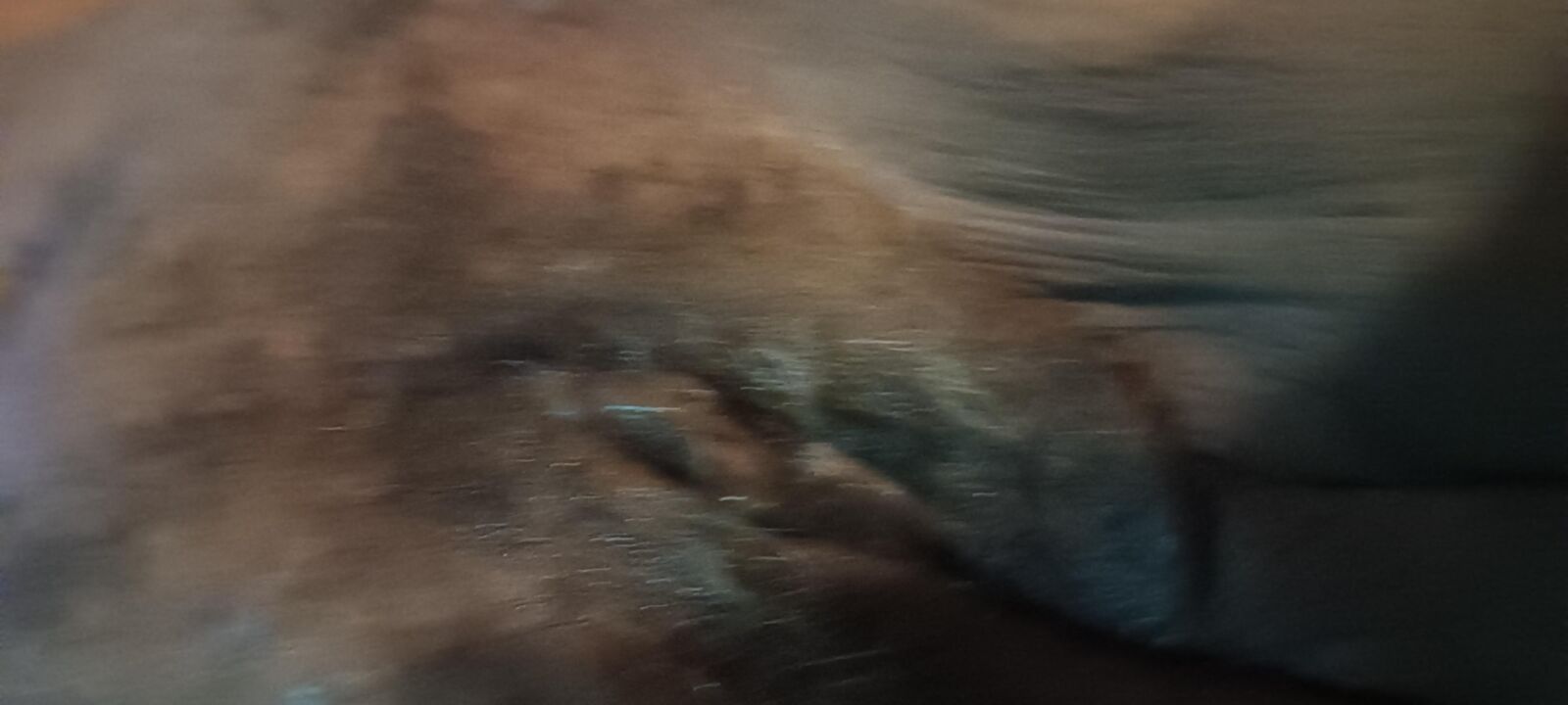 Sureña