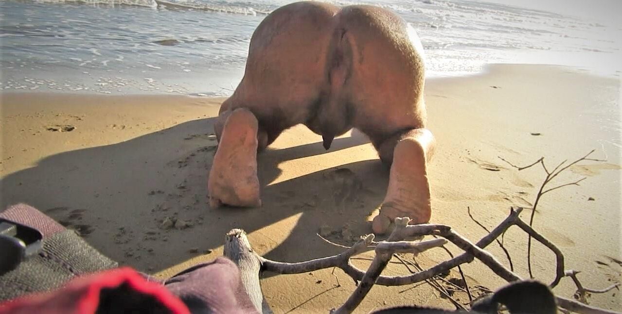 allein und nackter Typ am Strand