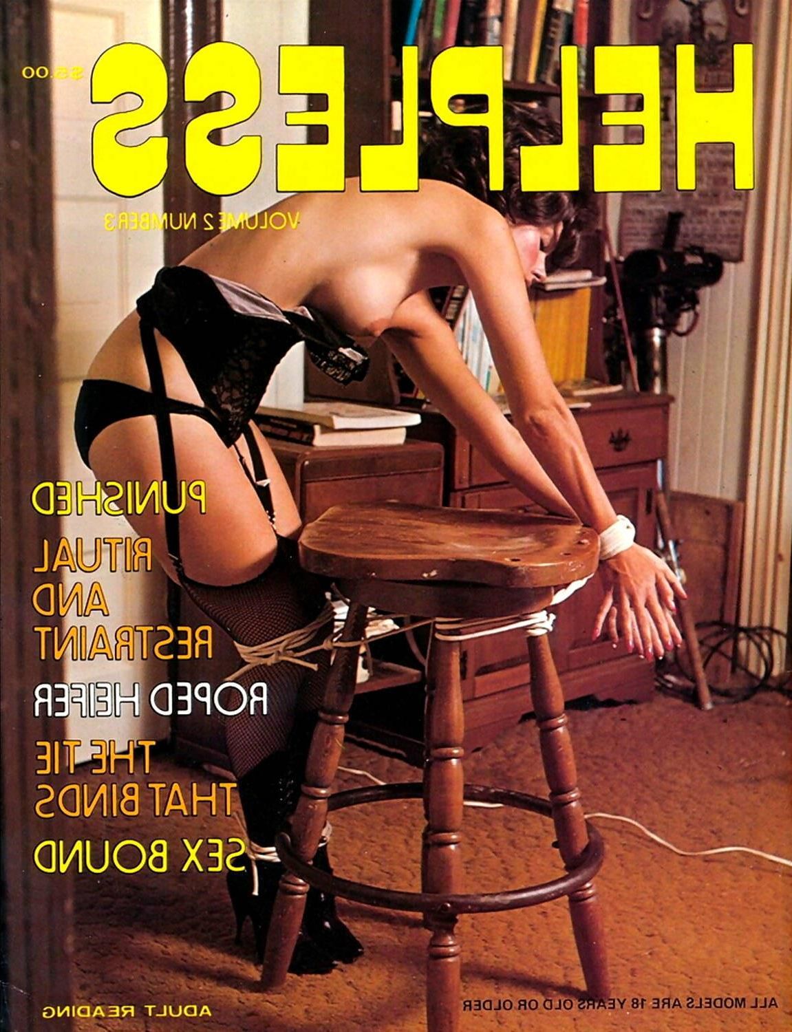 Sortiertes Bondage Magazine Covers