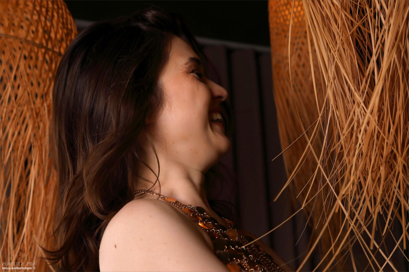 Amelia no circo