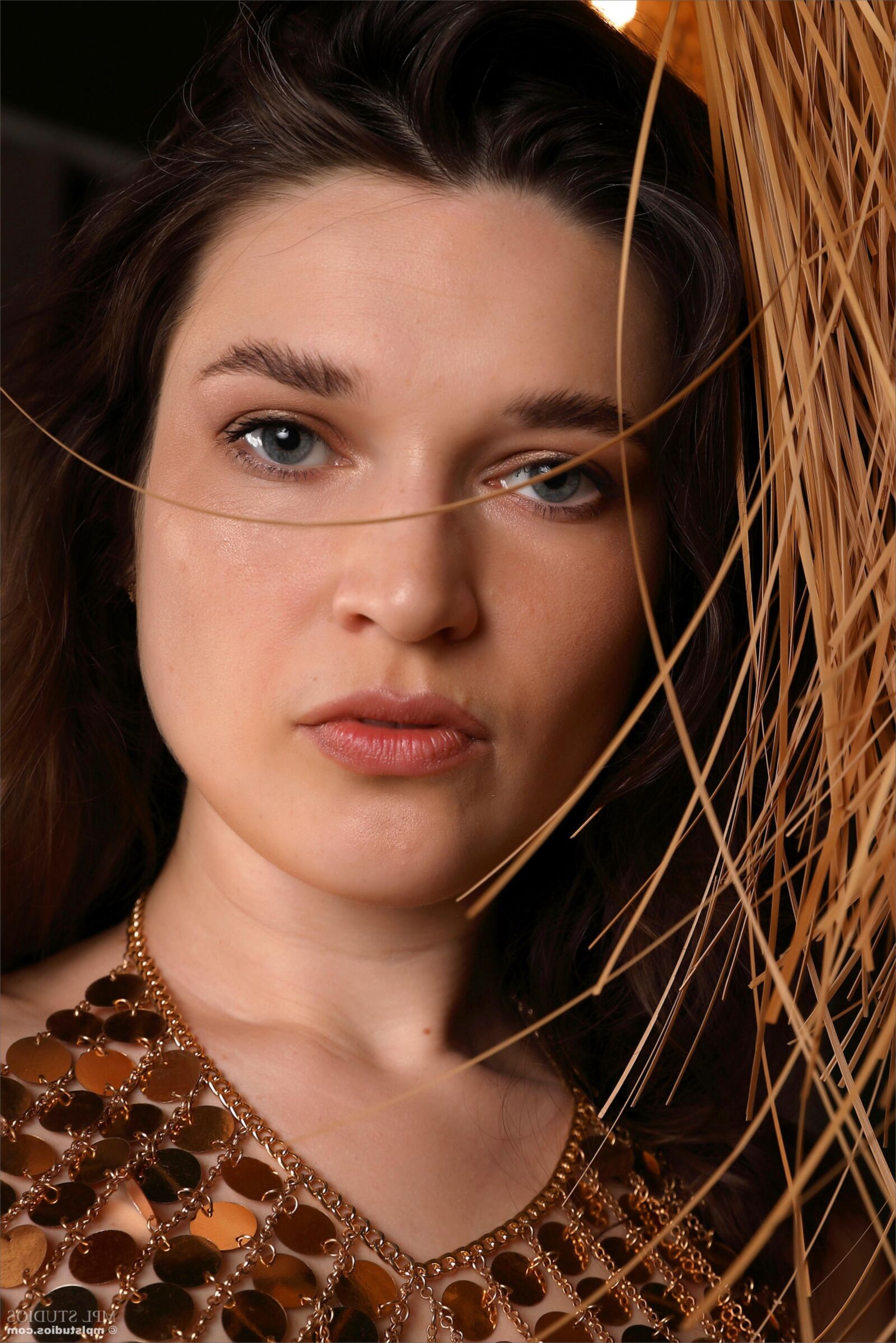 Amelia no circo