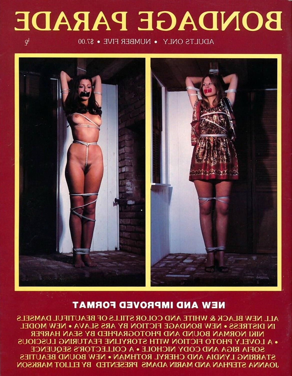 Sortiertes Bondage Magazine Covers