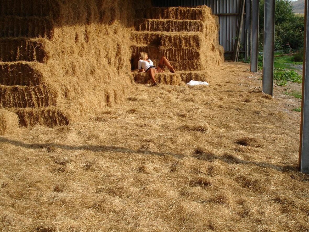 Линда В мигает в нейлоновых швах