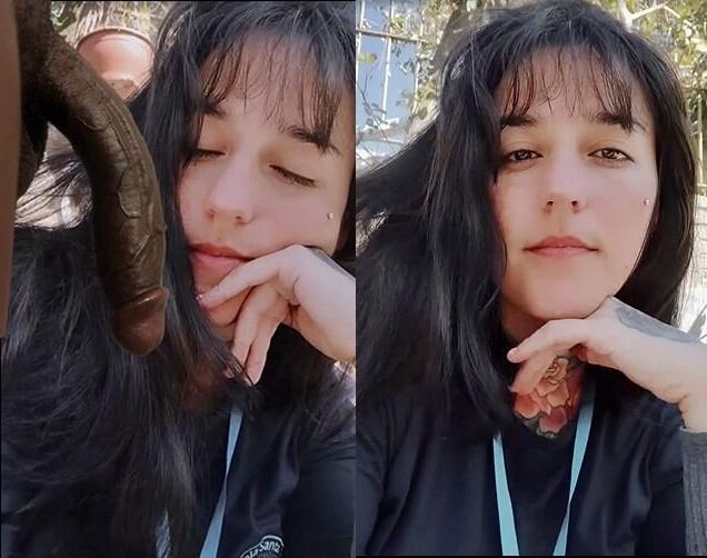 Vagabundas aleatórias