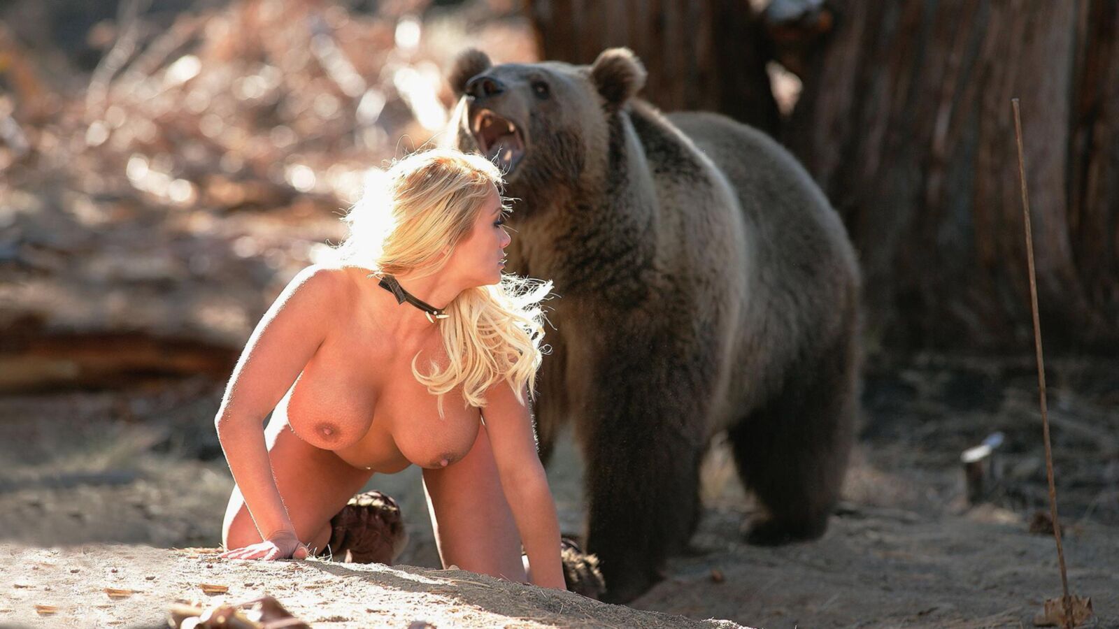 BEAR