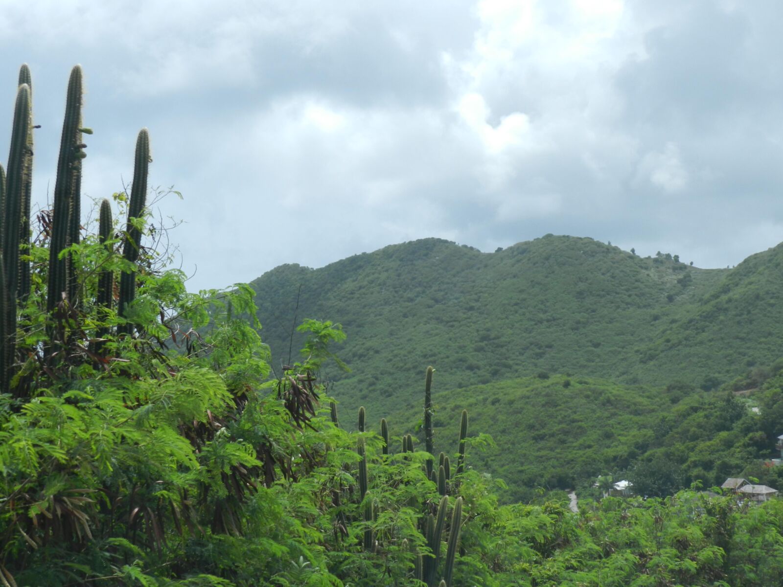 Trip de Saint-Martin avec maman (Flickr)