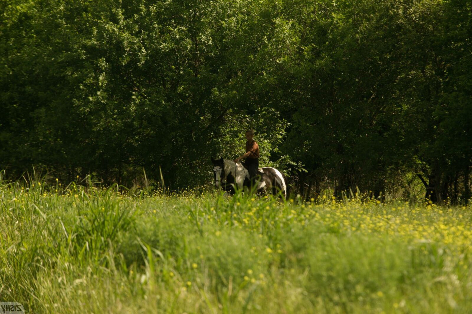 Amber Moore dans Whitetail Trail