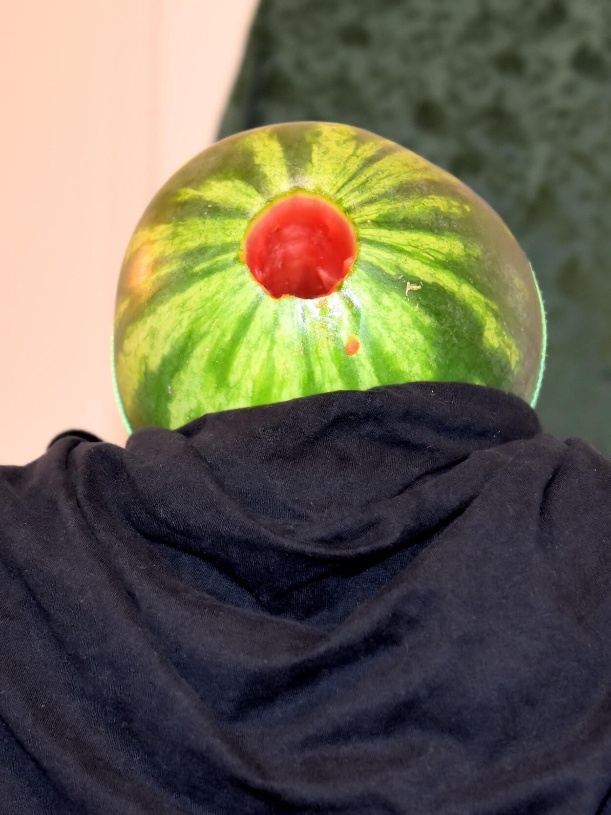 Дыня, ублюдок