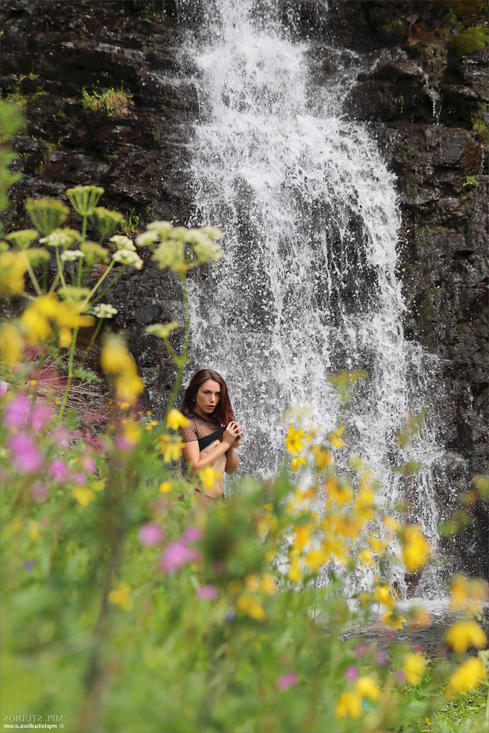 Elena Waterfall and Flowers