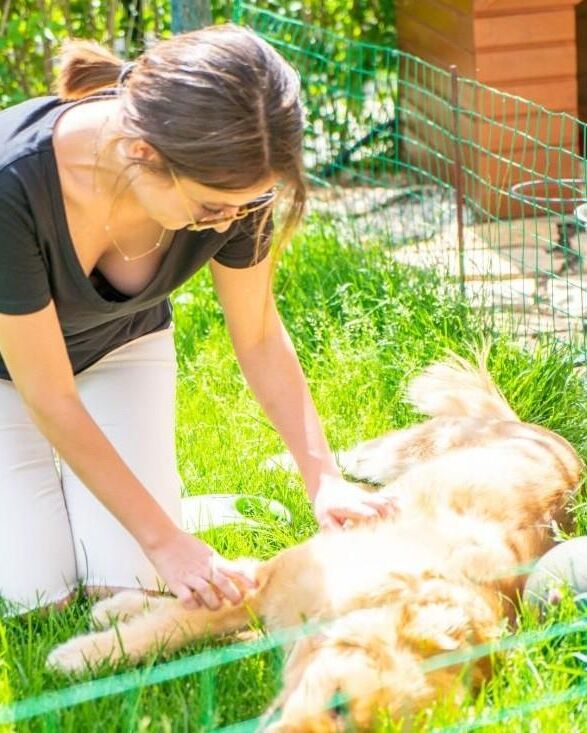 Mujeres sexys con perros