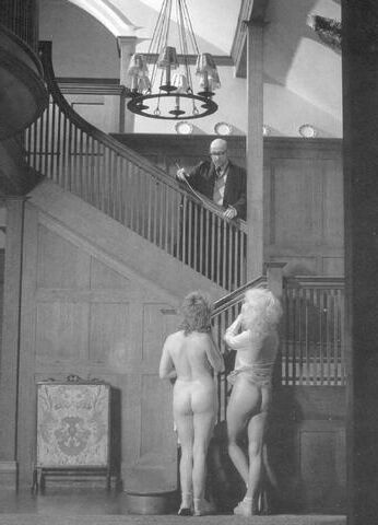 Retro Spanking Blushes picture set two girls hallway