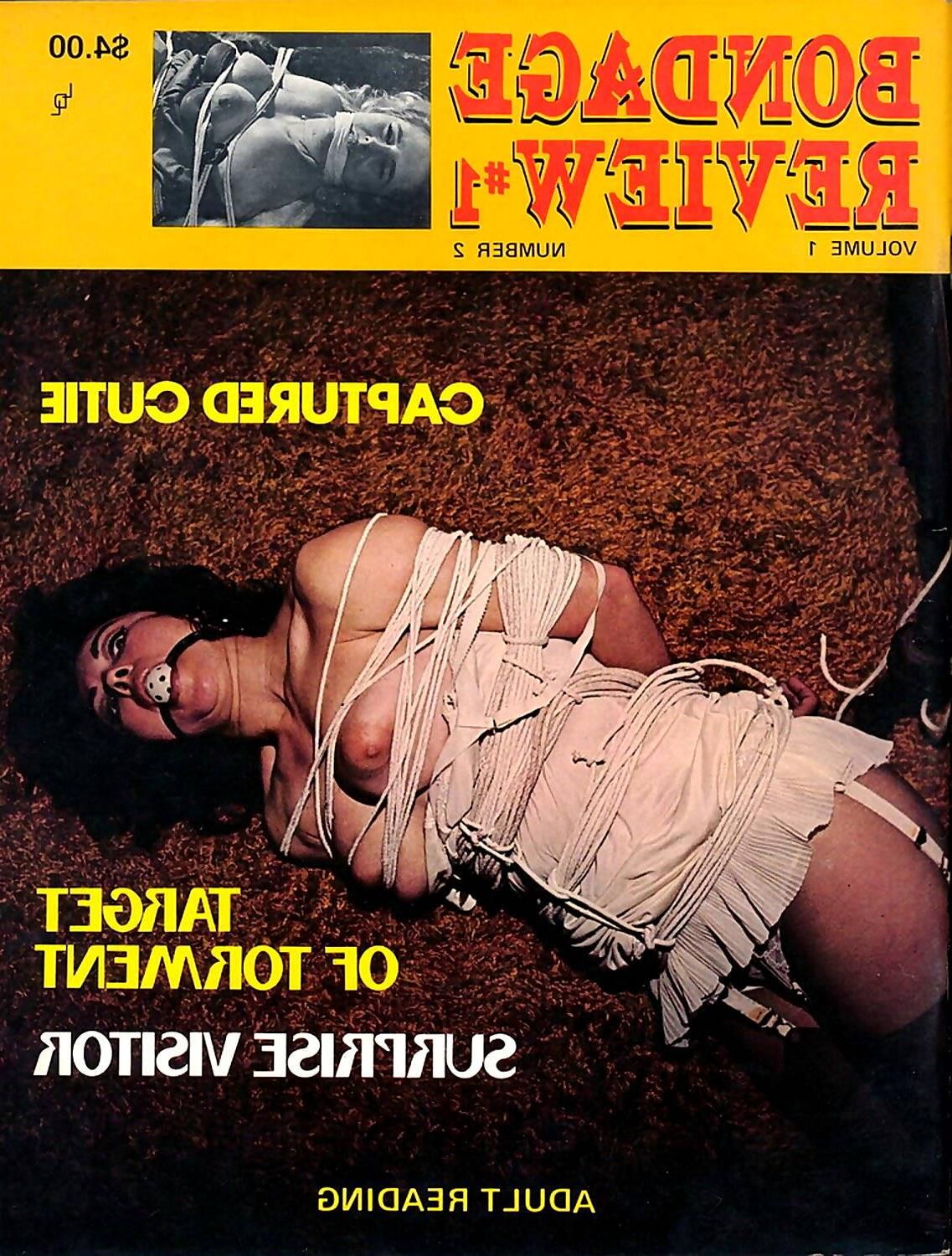 Couvertures de magazines de bondage assorties