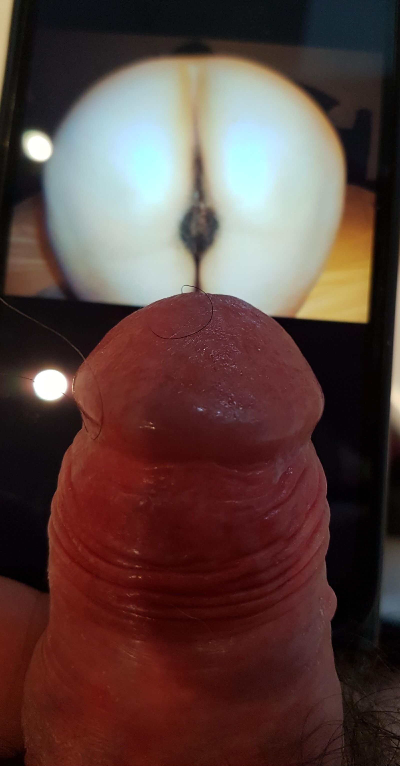 Milf arsch / я люблю эту задницу;))
