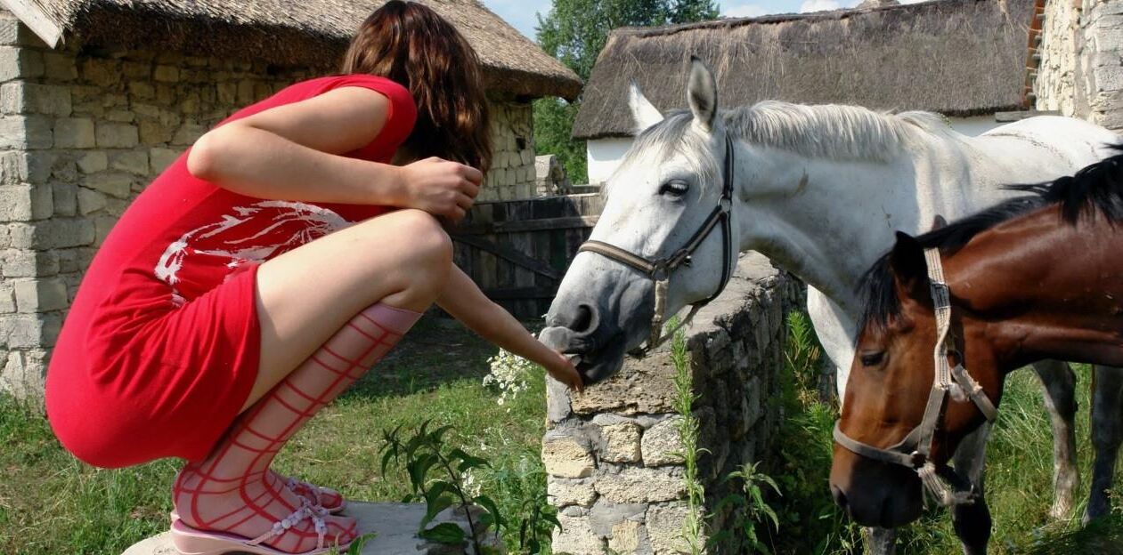 Mujeres sexys con caballos
