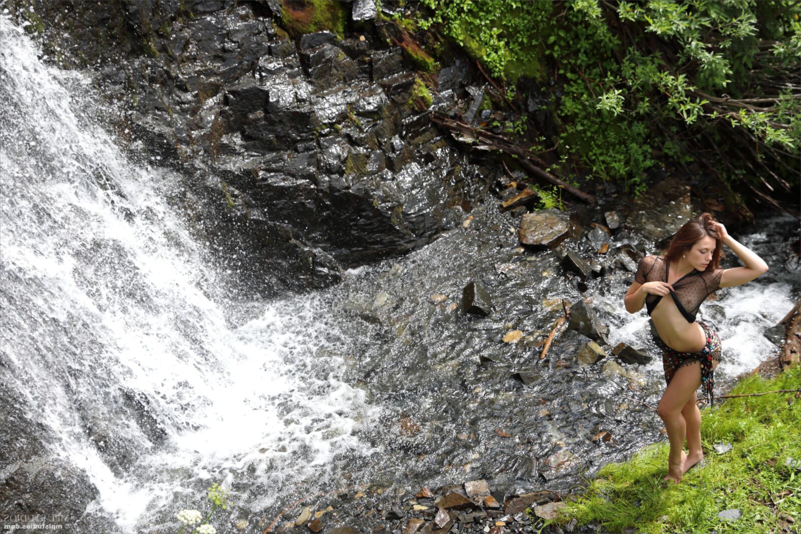 Elena Waterfall and Flowers