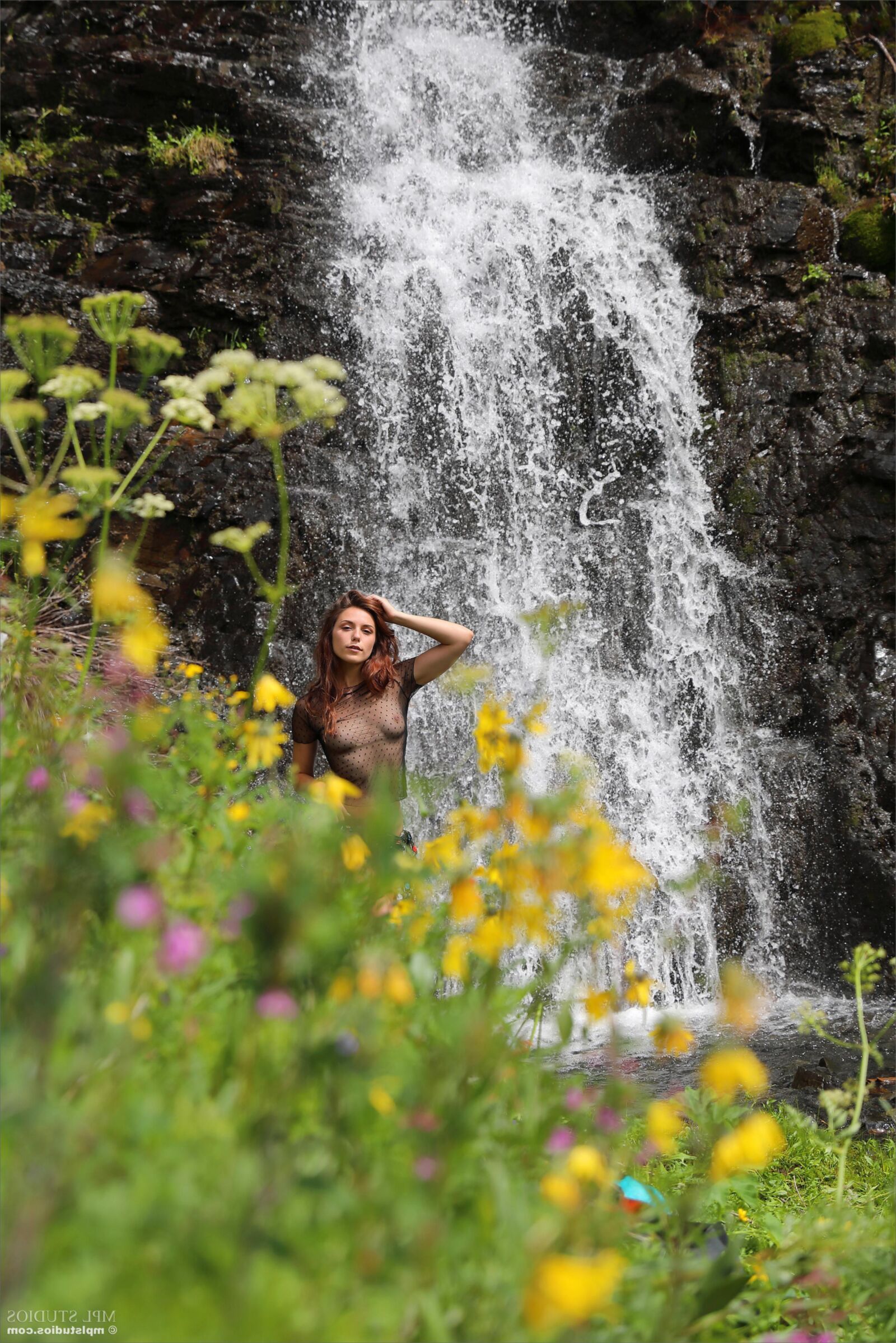 Elena Waterfall and Flowers