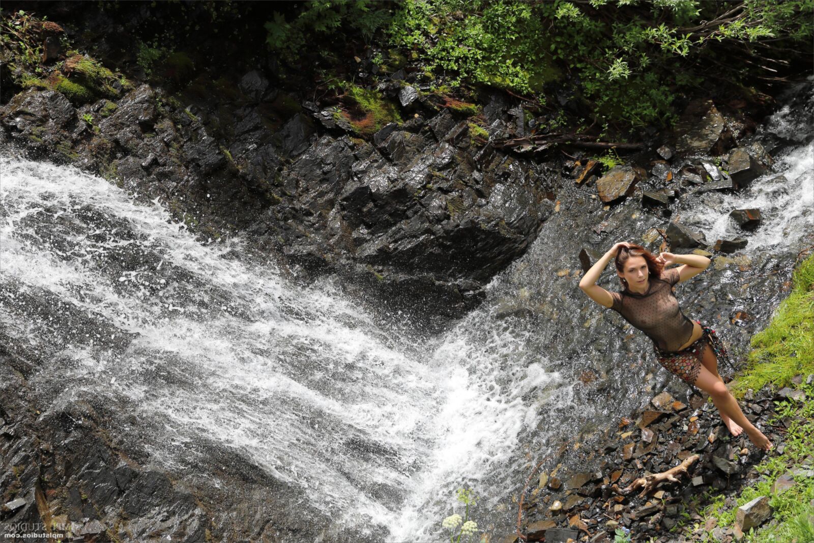 Elena Waterfall and Flowers