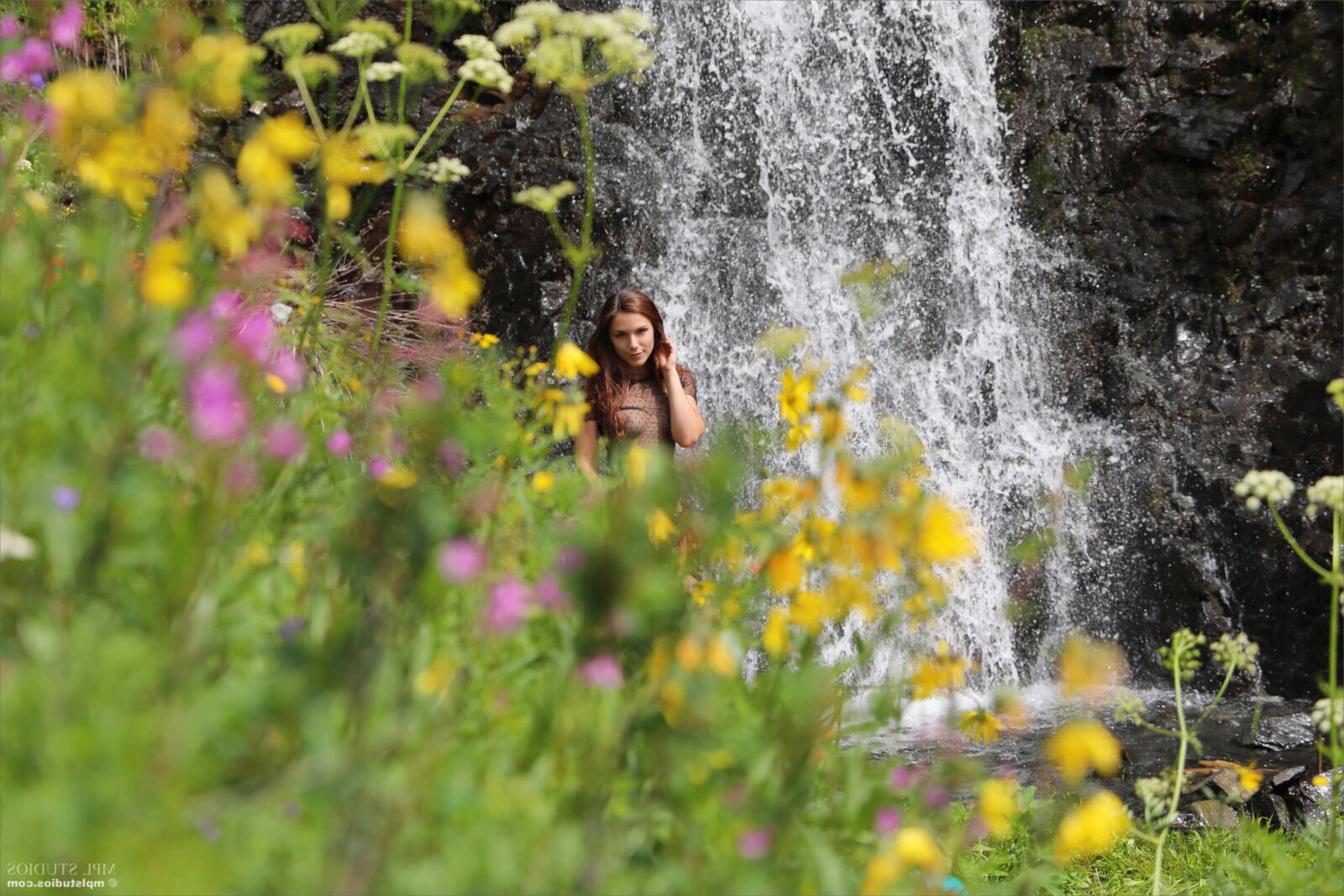 Elena Waterfall and Flowers