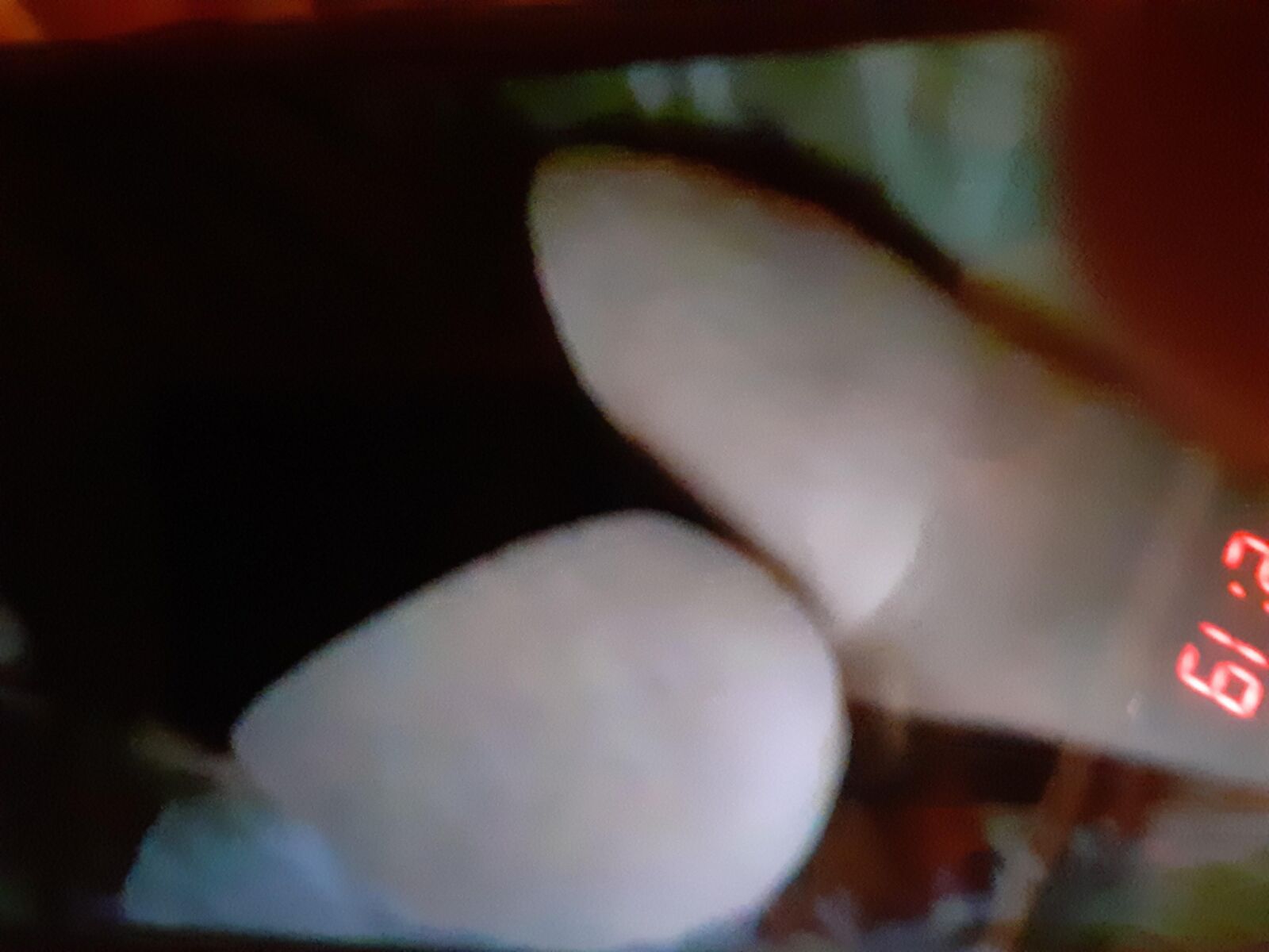 Fat Cuban tits 