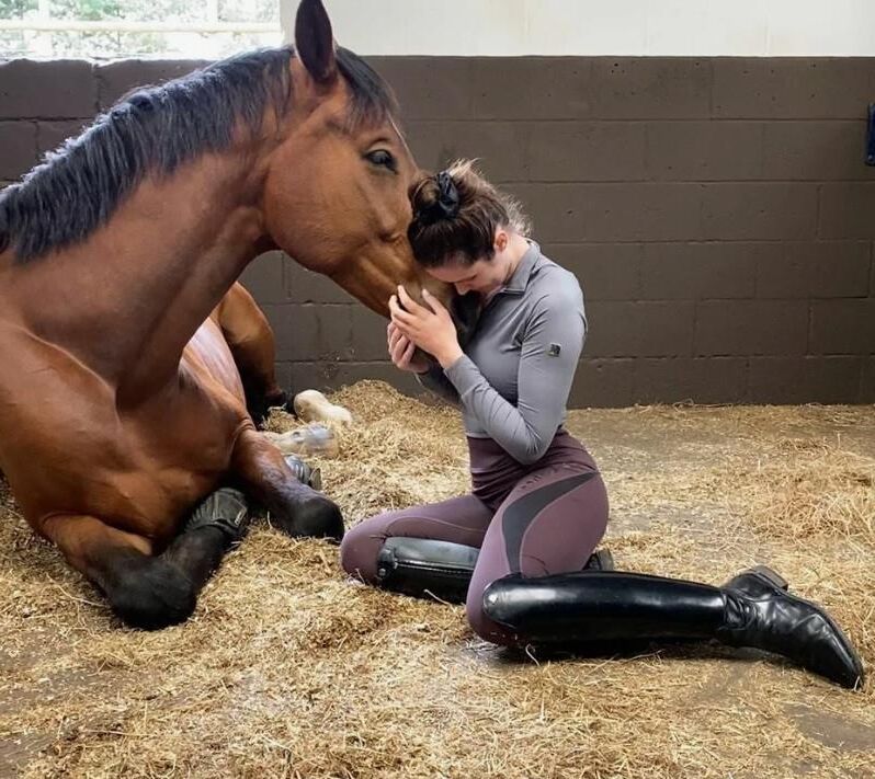 Mujeres sexys con caballos