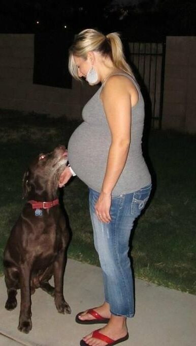 Mujeres sexys con perros