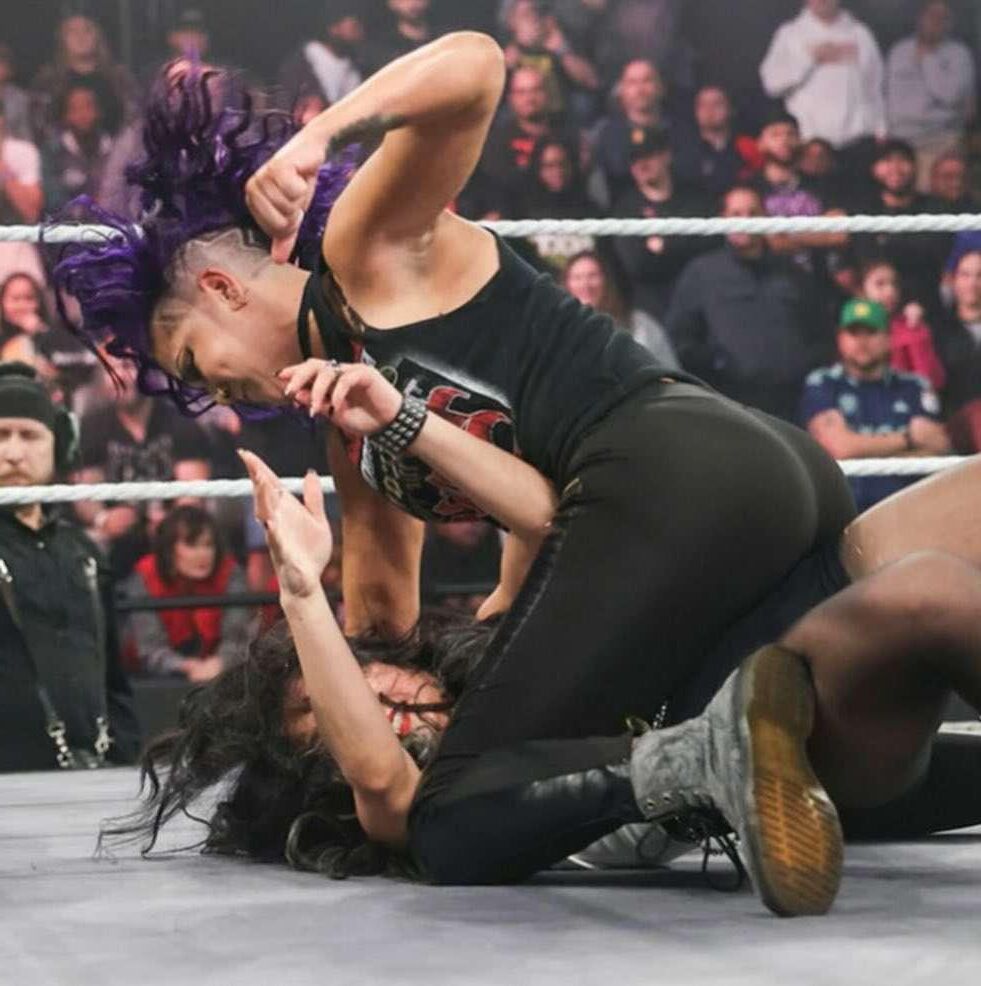 WWE Wrestling Divas Mix 