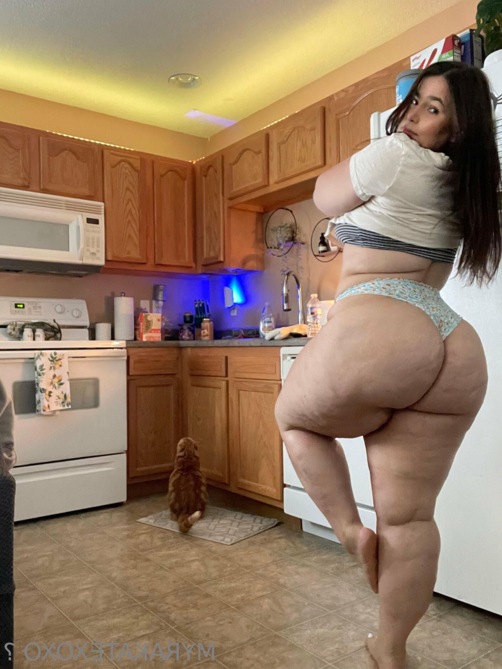 マイラ巨大なお尻の大きなおっぱいラティーナbbwブルネットガールミックスホットショット