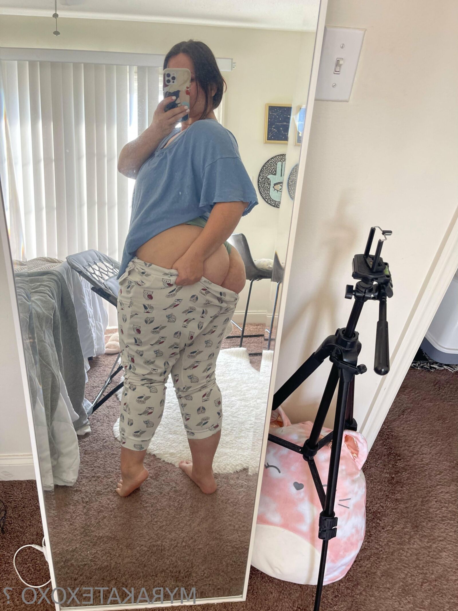 マイラ巨大なお尻の大きなおっぱいラティーナbbwブルネットガールミックスホットショット