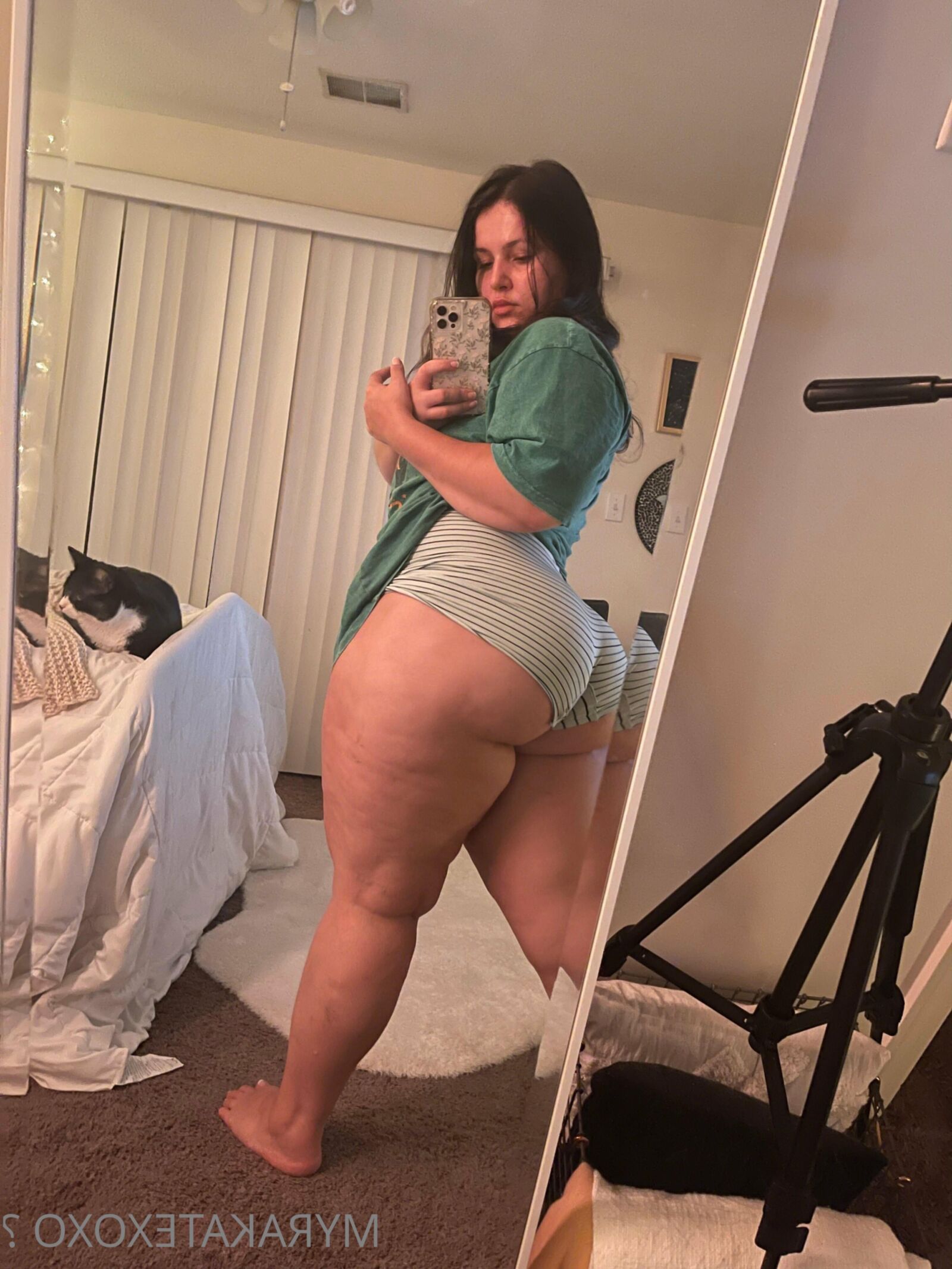 マイラ巨大なお尻の大きなおっぱいラティーナbbwブルネットガールミックスホットショット