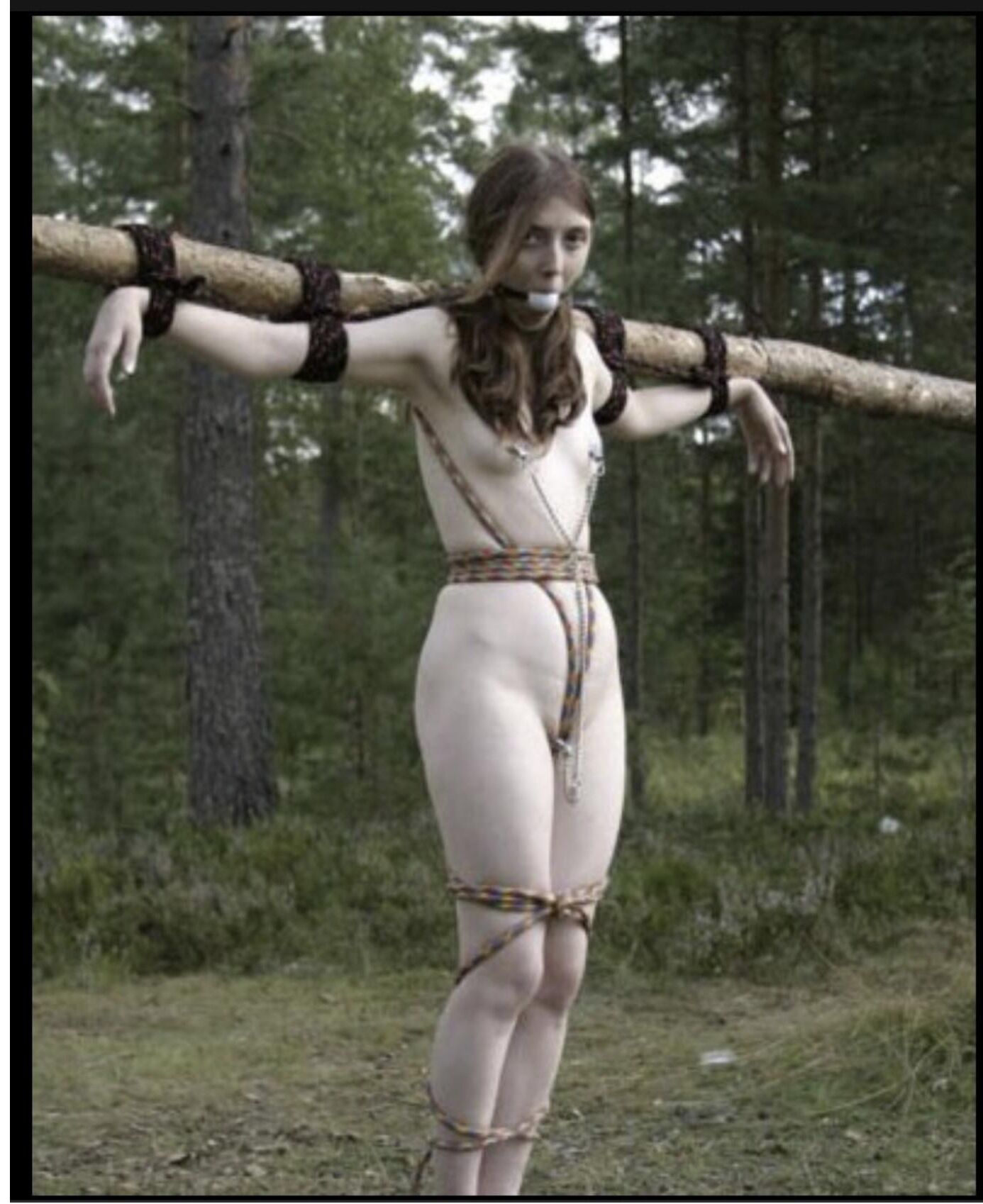 BDSM PICS