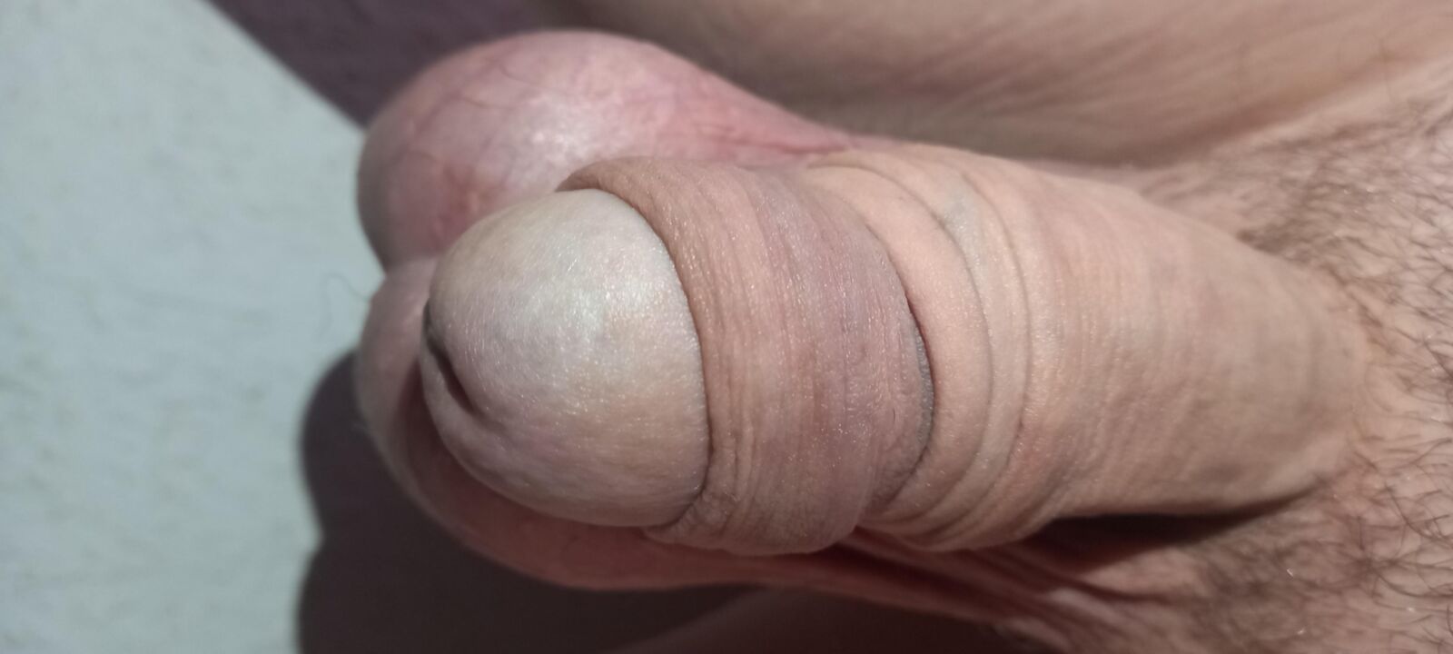 Pene grande