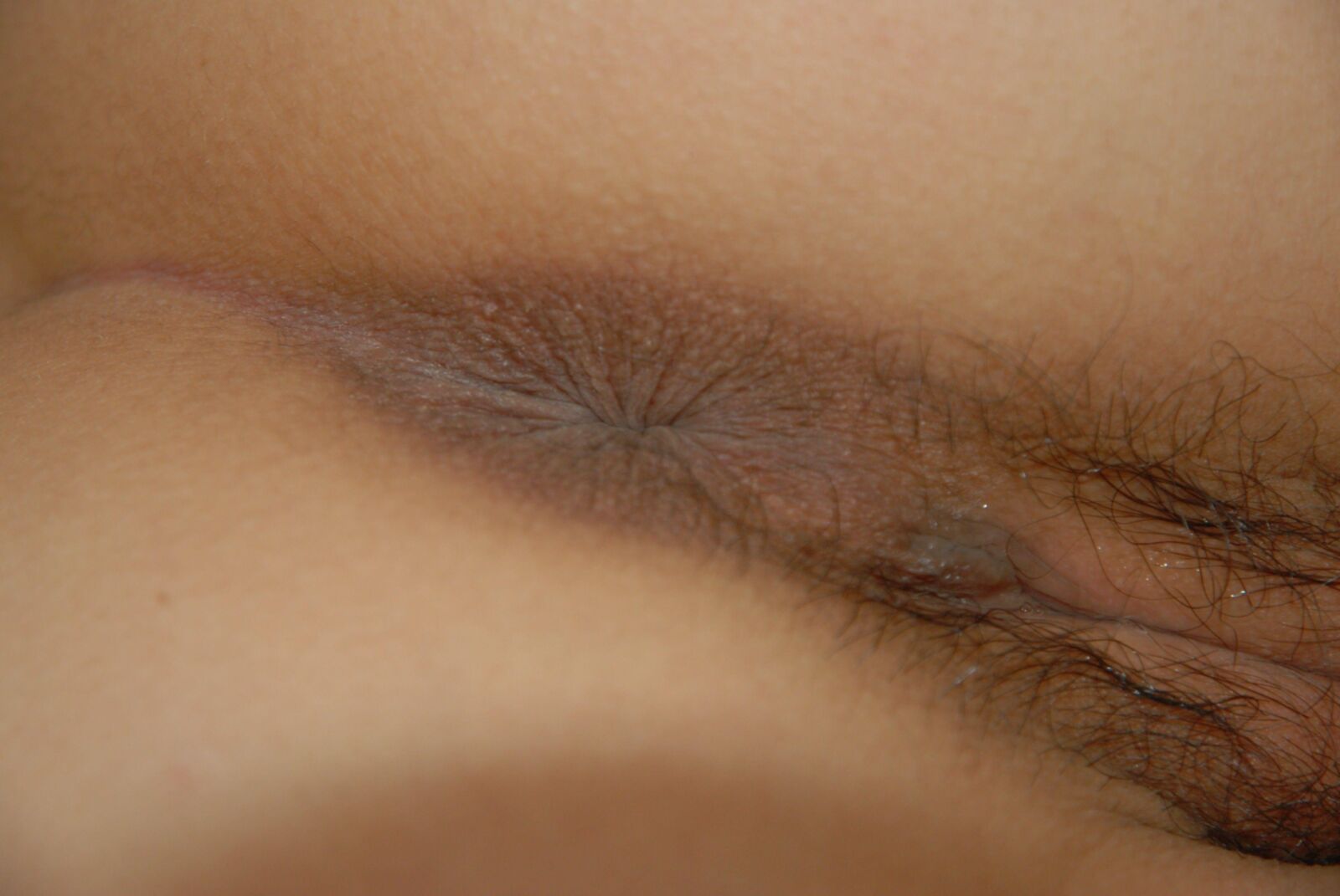 HOAL Asian Fucktoy