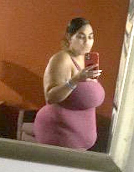 Oh coronel suculenta doce noname