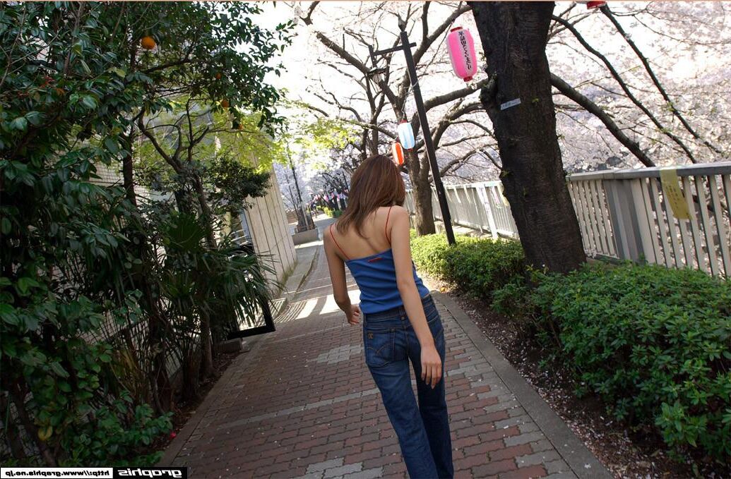 マイサカシタグラフィスガルズ番号