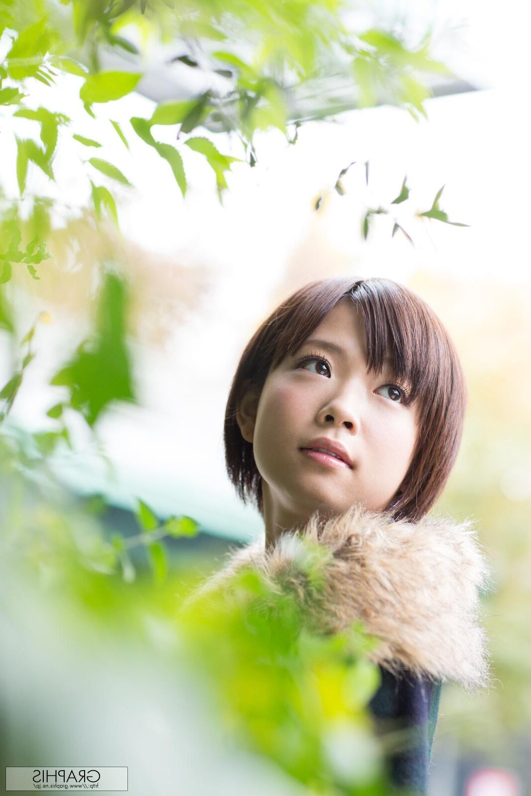 Mana Sakura Graphisgals No. Second Love